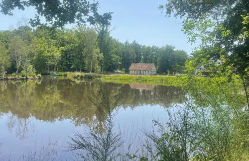 Gîte cosy en Sologne, nature et pêche, tout inclus - FR-1-590-549 - Foto 18