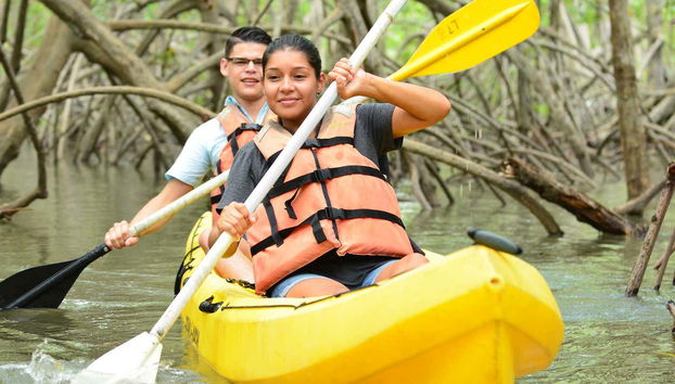 Damas Island Kayak Tour - Foto 3