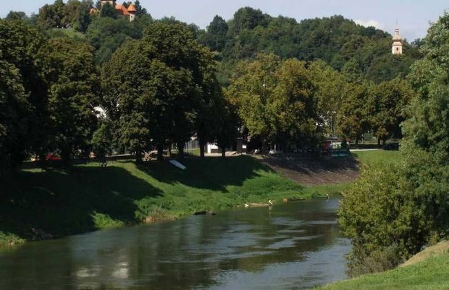 Apartment Sandra - Dubovac, 1,7 km From Centre - Photo 25