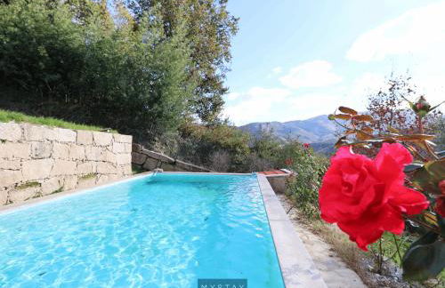 MyStay - Casa do Carmo - Foto 23