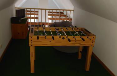 Historisches Aschberg Haisl Klingenthal, Terrasse, großer Garten 6 plus 2 Personen - Photo 28