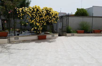 A casa di Leo – Leo’s house – Chez Léo - Foto 19