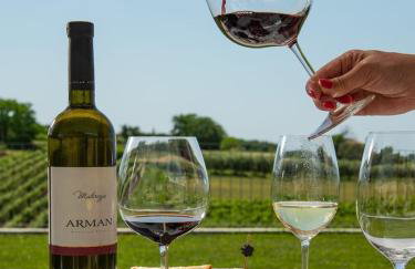 Casa Allure - Foto 43