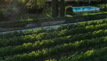 Viticcio - Foto 5, Garden view