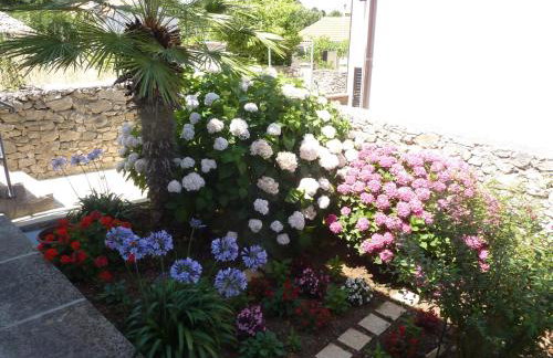 Apartments Hemetek - Foto 17