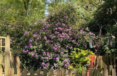 Shangri la at Beauport - Foto 60