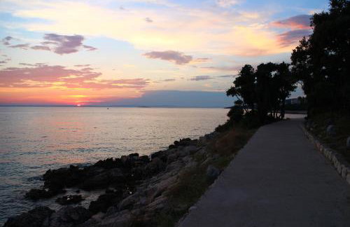 Apartmani Vesna - Foto 42