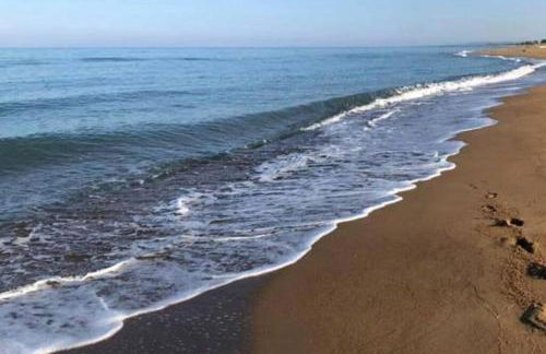 Phyllida Guest House - M1 - Foto 8