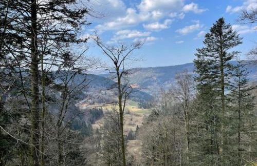 Elegant Chalet in Gerbepal in Cosy Environment - Foto 54