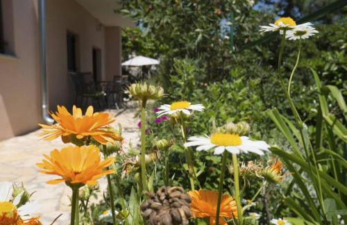 Cvita - Cozy apartment with an amazing view - Foto 15