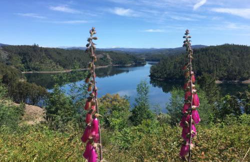 Rosa the Cosy Cabin - Gypsy Wagon - Shepherds Hut, RIVER VIEWS Off-grid eco living - Foto 41