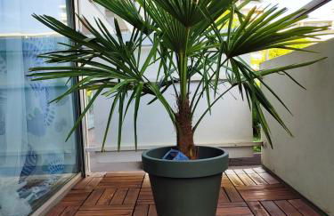 Künstler-Suite 7 - Köln, Netflix, Phantasialand - Foto 16