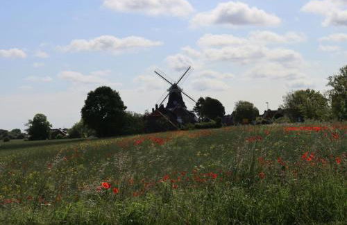 de Boer Comfortable holiday residence - Foto 19