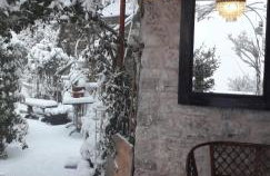 Studio Penelope - Photo 54