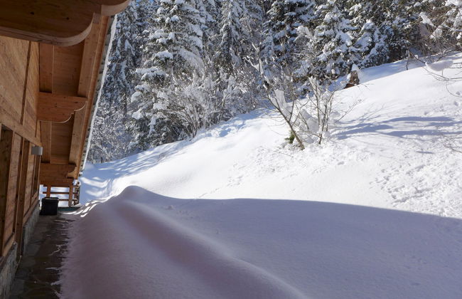 Chalet Astoria - Photo 65