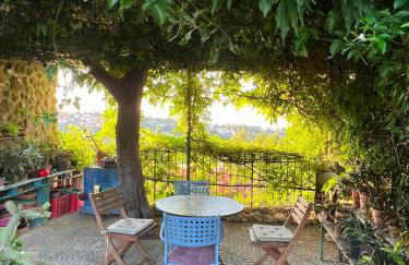 la cana dolce - Foto 11
