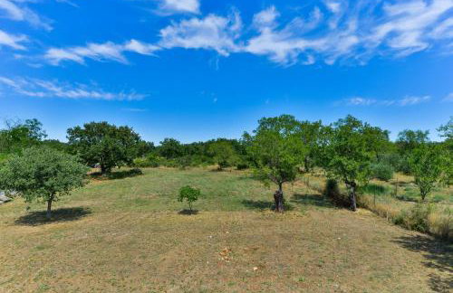 Grandma Mary's Home - Foto 52