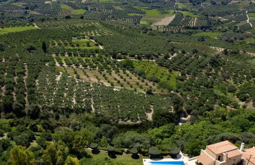 Malvazia Grand Estate, 4acre Immersed in Greenery, By ThinkVilla - Photo 9