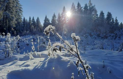 Ferienhaus am Erzgebirgskamm - Foto 33