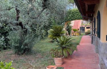 La Limonaia di Vanna - Foto 68