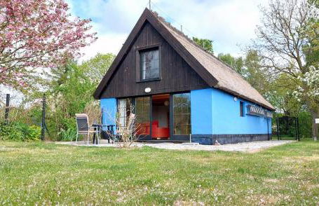 Blaues Haus - Foto 1