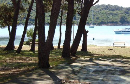 Studio apartment in Mali Losinj with terrace, air conditioning, WiFi, washing machine 4913-2 - Foto 48