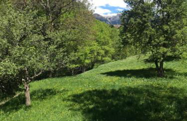 San Marco FARMHOUSE with a view. - Photo 31