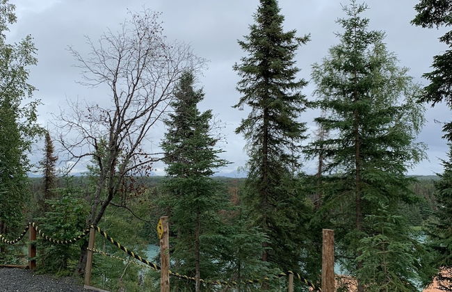 Joy's Kenai River Cabins - Foto 55
