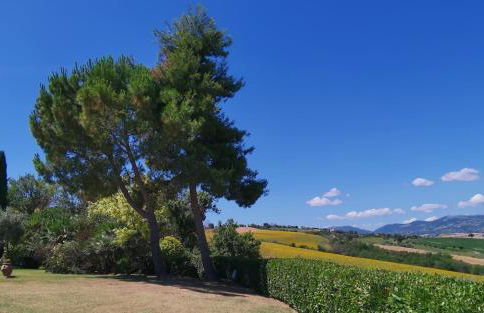 Villa Giulia, a splendid farmhouse in the Marche region - Foto 48