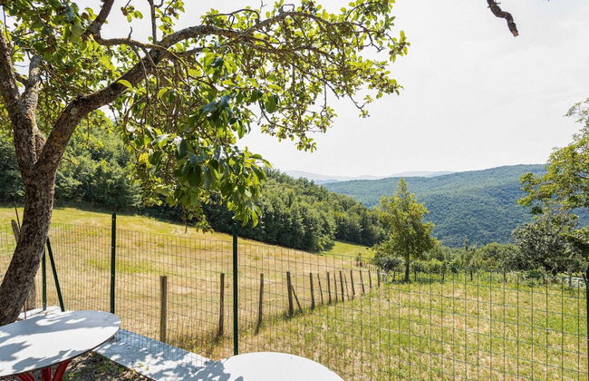 Holiday Home in Tuscany With Private Garden - Foto 18