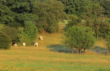 Ferienhaus an der Austwies - Foto 27