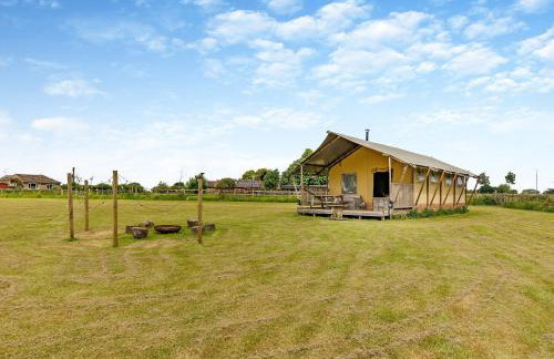 Muntjac - Uk47396 - Foto 20