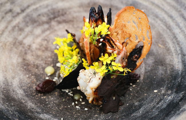 Belle Escapes - Latania Villa Palm Cove - Foto 19