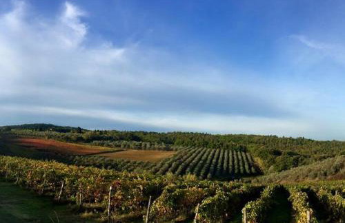 Podere La Casetta - Casa di Campagna - Foto 3