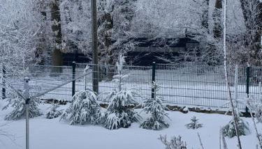 Ferienhaus Harzer Bauernhof - Foto 2