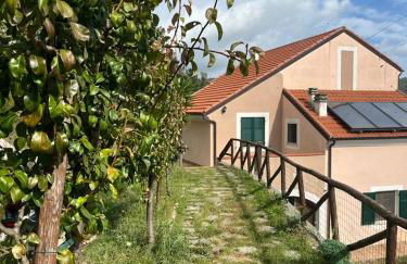 Sopra il Santuario - Foto 4