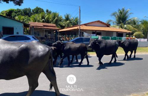 Casa de Praia Na Ilha de Marajó - Joanes/PA - Foto 25