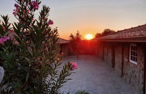 Quinta do Nobre - Foto 78