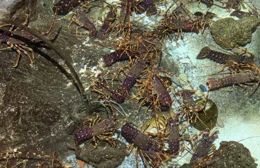 Stermasi Apartments - Photo 8