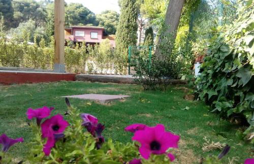 Calma i descans a Begur - Foto 21