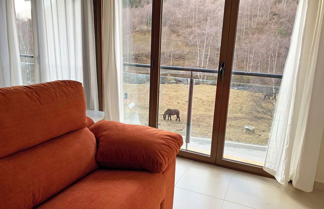 Apartamentos Llorts Ordino 3000 - Photo 41