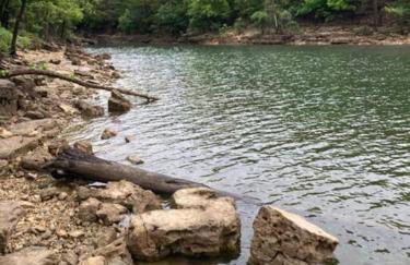 Cozy Lakeside Getaway - Outdoor Theater - Free Early Check-In- 4min to Silver Dollar City - Foto 21