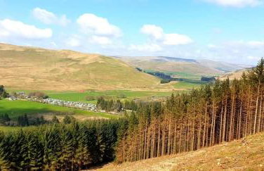 Honey Cottage Caravan Park - Foto 10