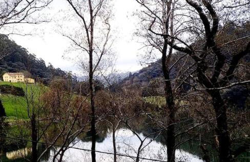 PequeñoCabárceno - Foto 22