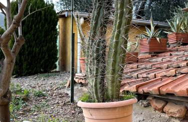 La Ghiandaia - Foto 49