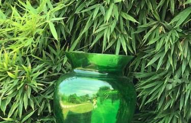 Villa Pieds dans l eau - Foto 23