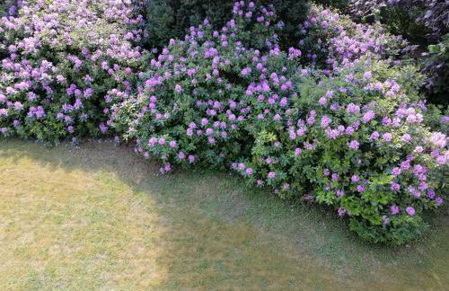 In Summo Monte - Foto 6