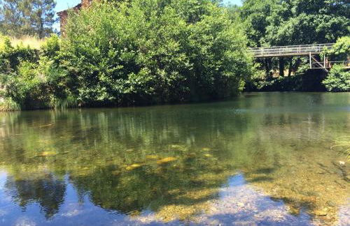 Casas do Rio - Foto 15