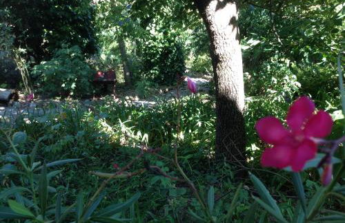 Cascina Folletto - Foto 46