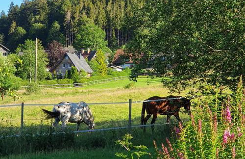 Ferienwohnung Hitz - Foto 19